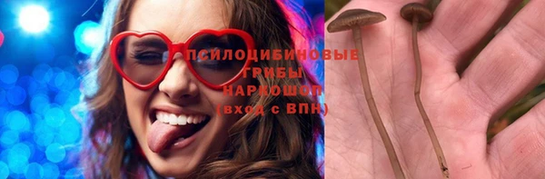 спиды Алексин