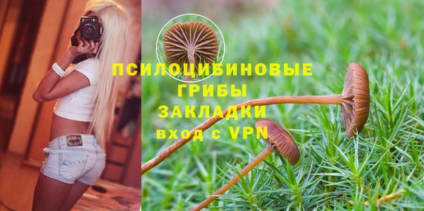 спиды Алексин