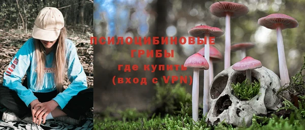 спиды Алексин