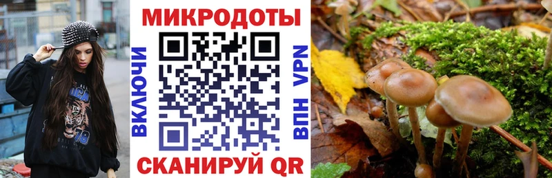 наркошоп Верхняя Салда Псилоцибиновые грибы GOLDEN TEACHER